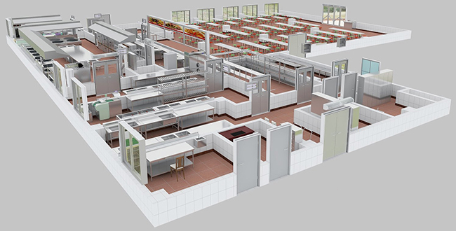 食堂厨房设计 食堂厨房设计