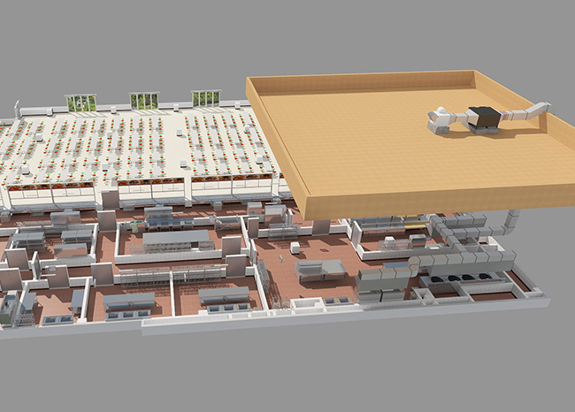 厨房抽排系统设计 厨房抽排系统设计