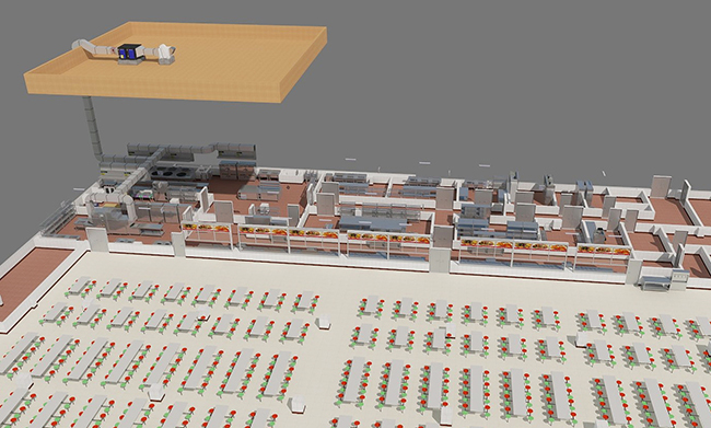 排烟系统设计 排烟系统设计